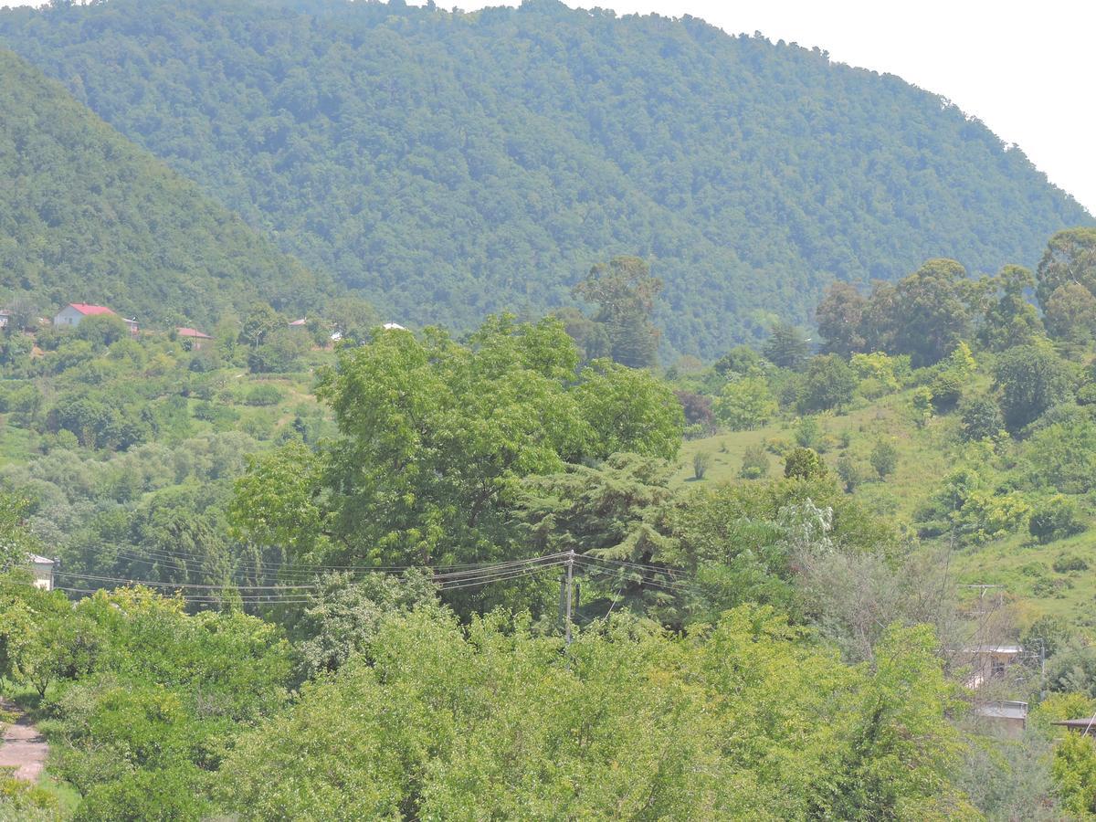 Guesthouse U Moti New Athos Exterior photo